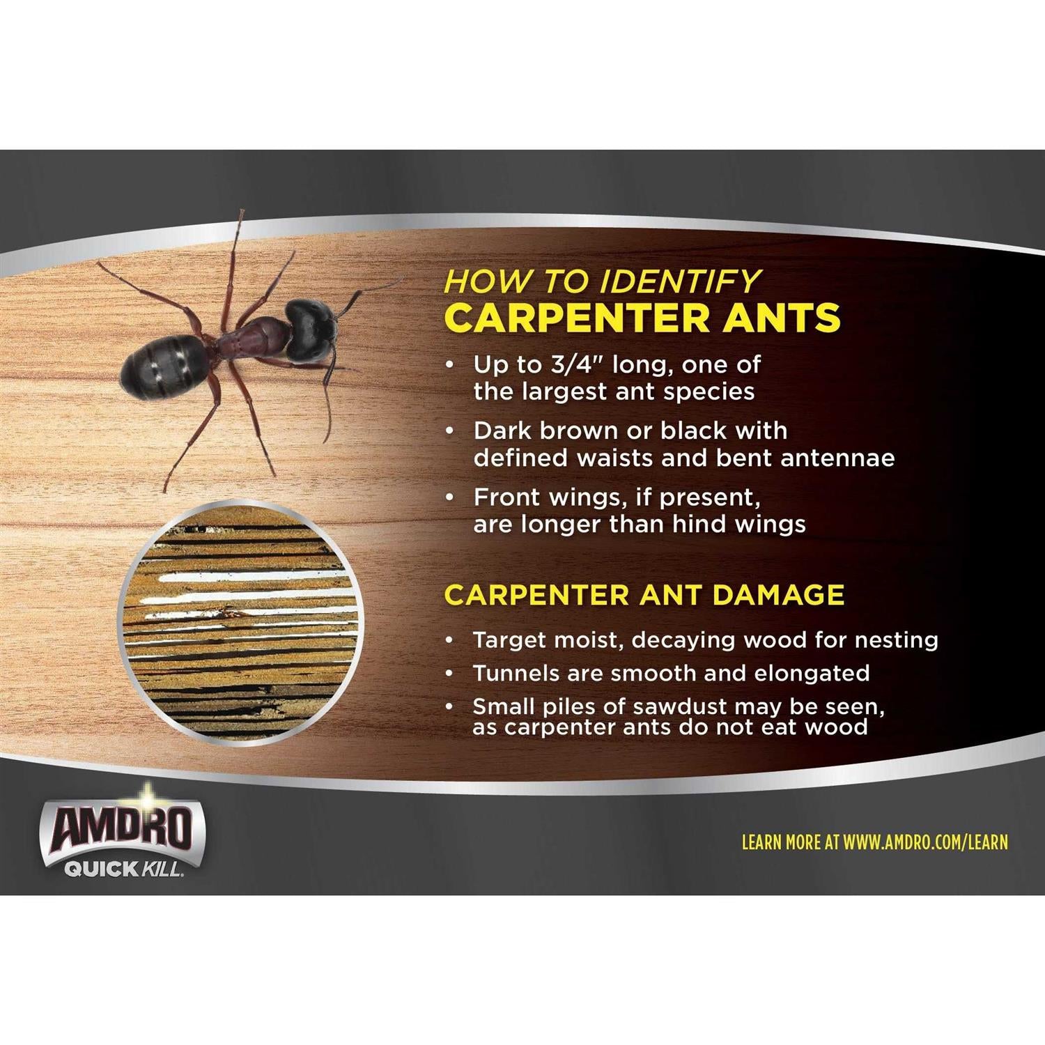 Amdro Quick Kill Carpenter Bee Killer 100526850