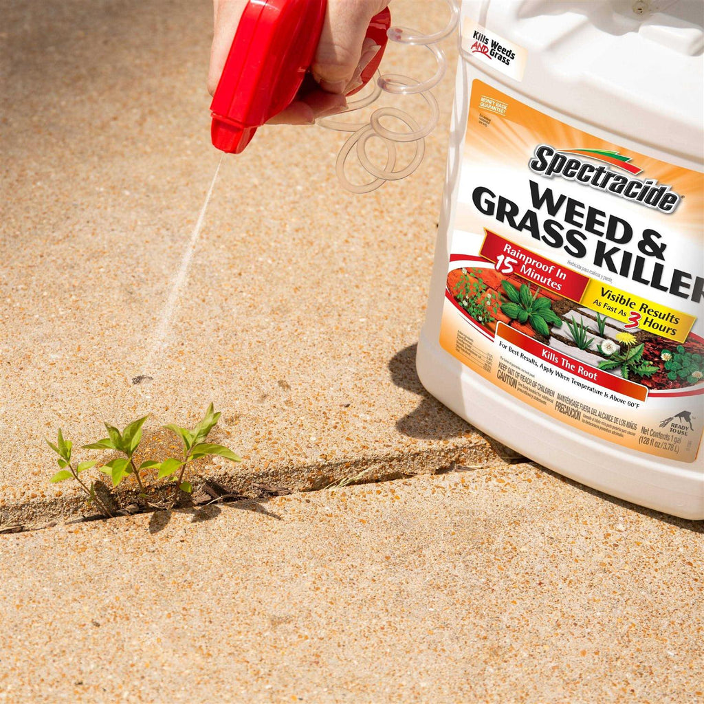 Spectracide Weed & Grass Killer