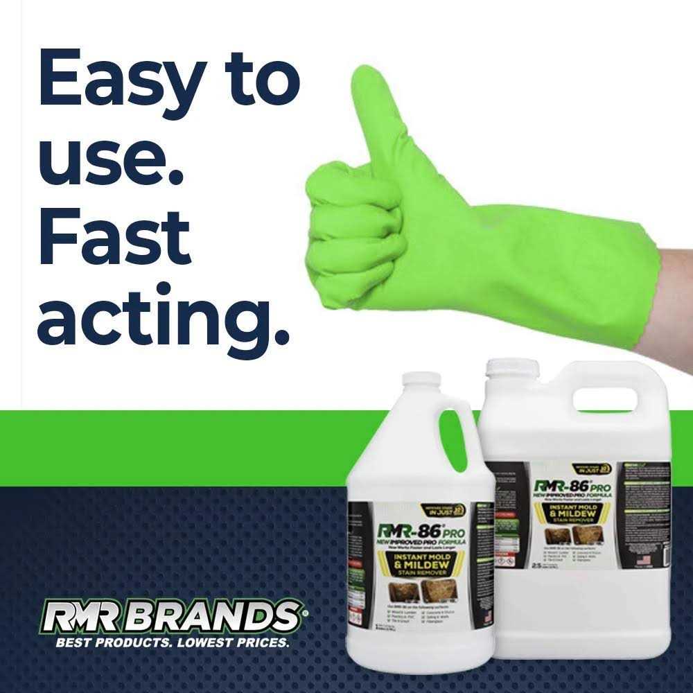RMR-86 Pro Instant Mold Stain & Mildew Stain Remover