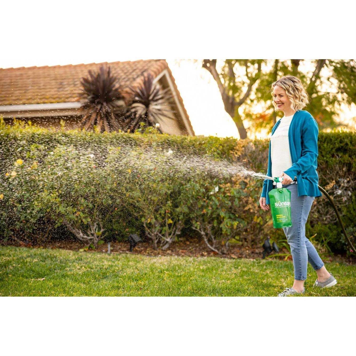 Sunday Lawn Fertilizer