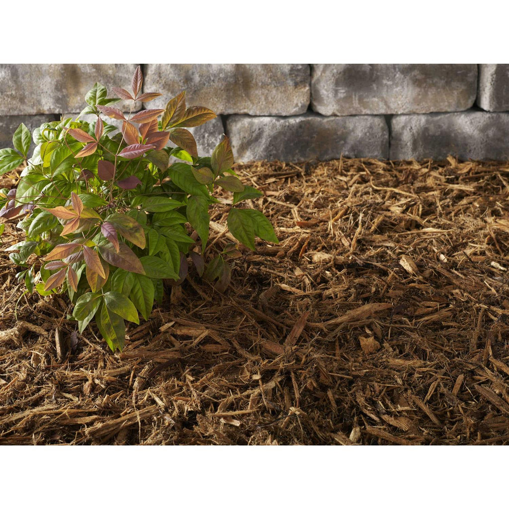 No Float 2 Cypress Mulch