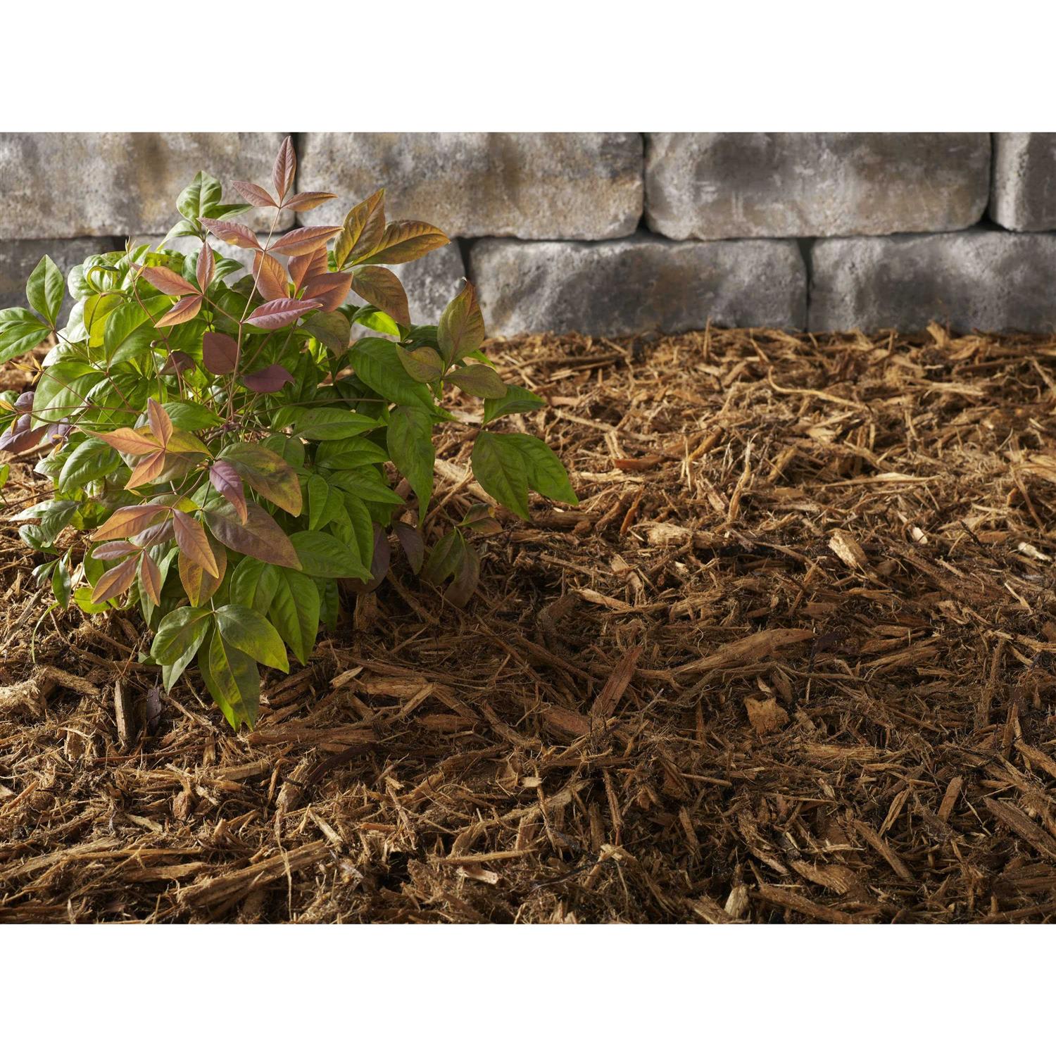 No Float 2 Cypress Mulch
