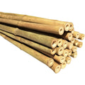Dlh Western Natural Bamboo Poles Eco-Friendly Plant Support Garden Stakes Long