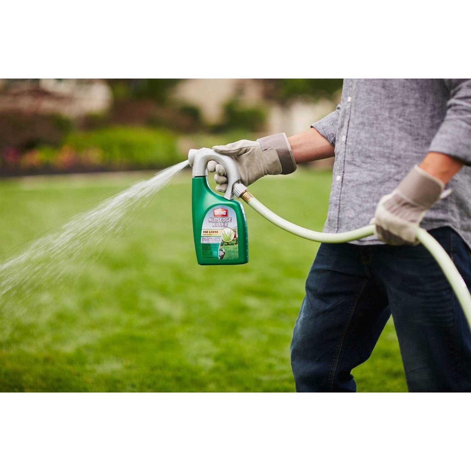 Ortho Nutsedge Killer for Lawns Ready-To-Spray