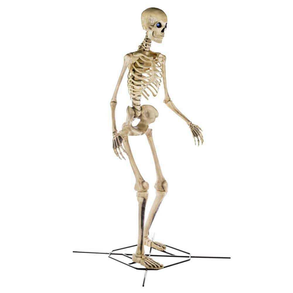 Home Accents Holiday 12 ft Giant-Sized Skeleton with LifeEyes LCD Eyes
