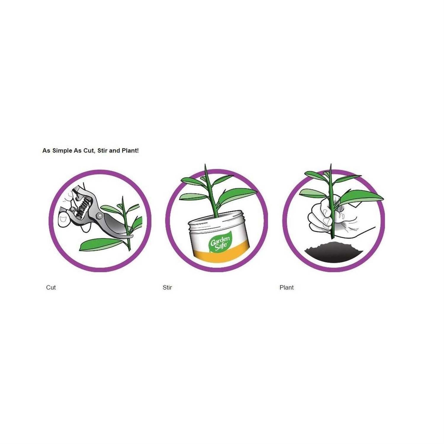 Garden Safe TakeRoot Rooting Hormone