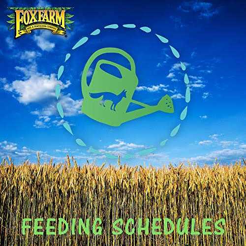 FoxFarm Ocean Forest Potting Soil