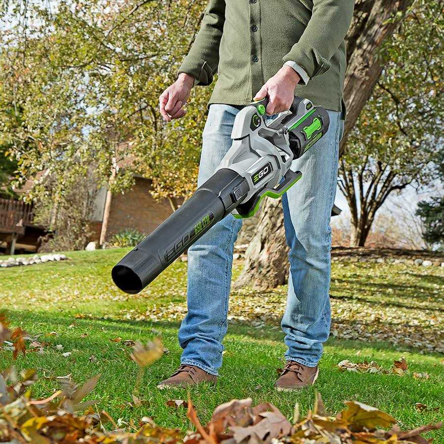 EGO 5.0Ah Lithium-ion Cordless Leaf Blower — 650 CFM LB6504