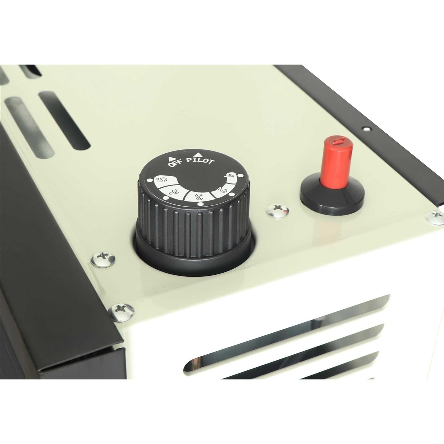 Ashley Hearth Products 11,000 BTU Direct Vent Propane Heater