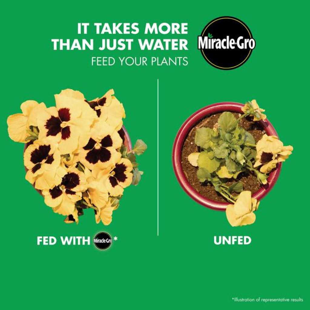 Miracle Gro Bloom Booster Flower Food