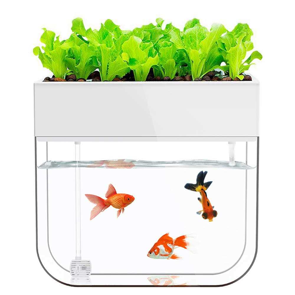 Huamuyu Hydroponic Garden Aquaponic Fish Tank Plants Growing Syste