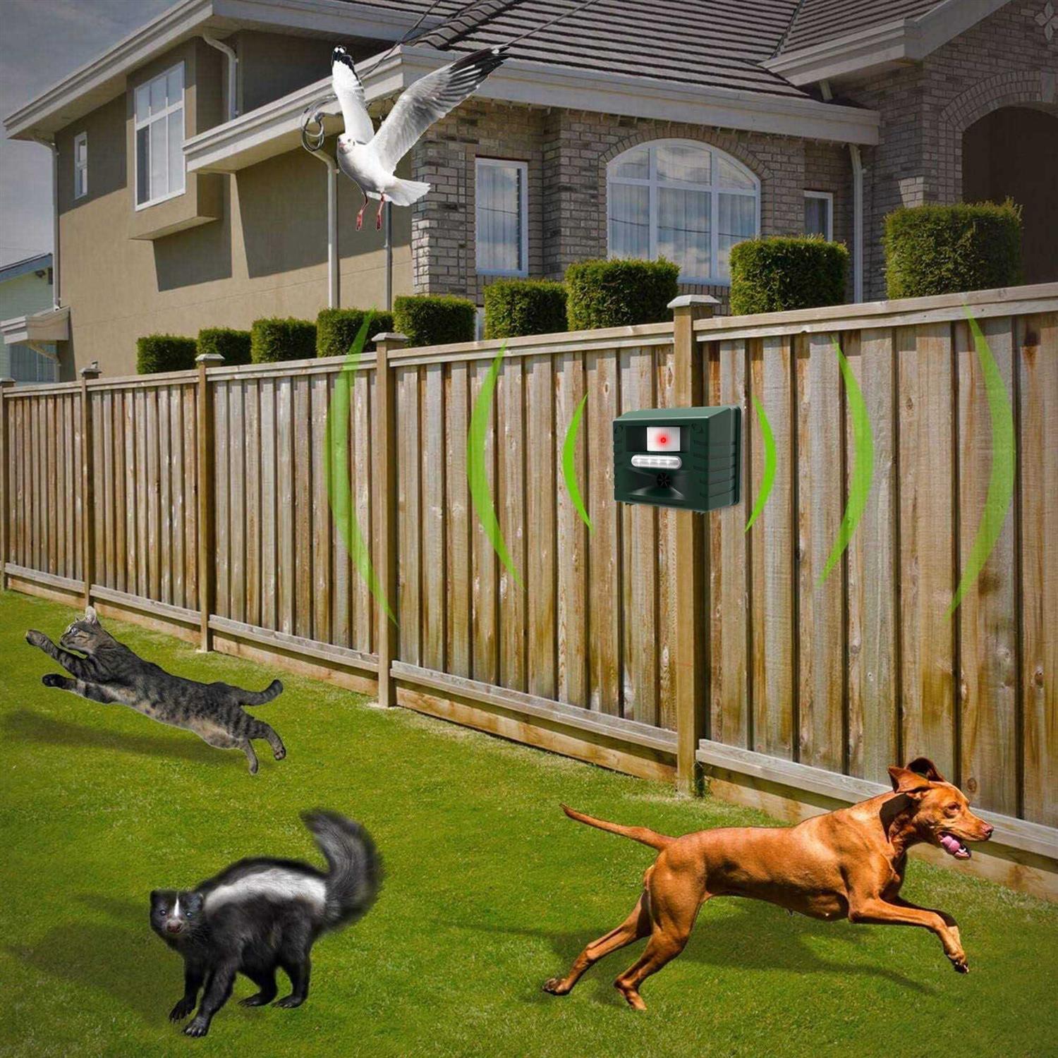 Repellex Mole and Gopher Repellent 10530