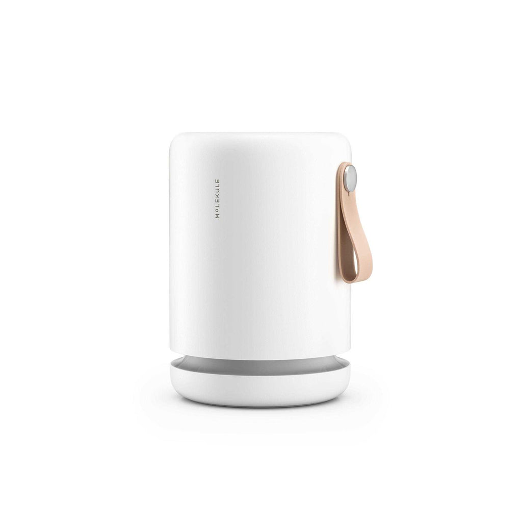 Molekule Air Mini+ Air Purifier with PECO-HEPA Filter