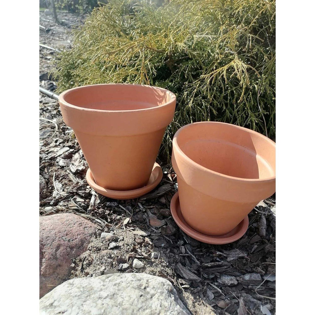Deroma Terra Cotta Clay Pot