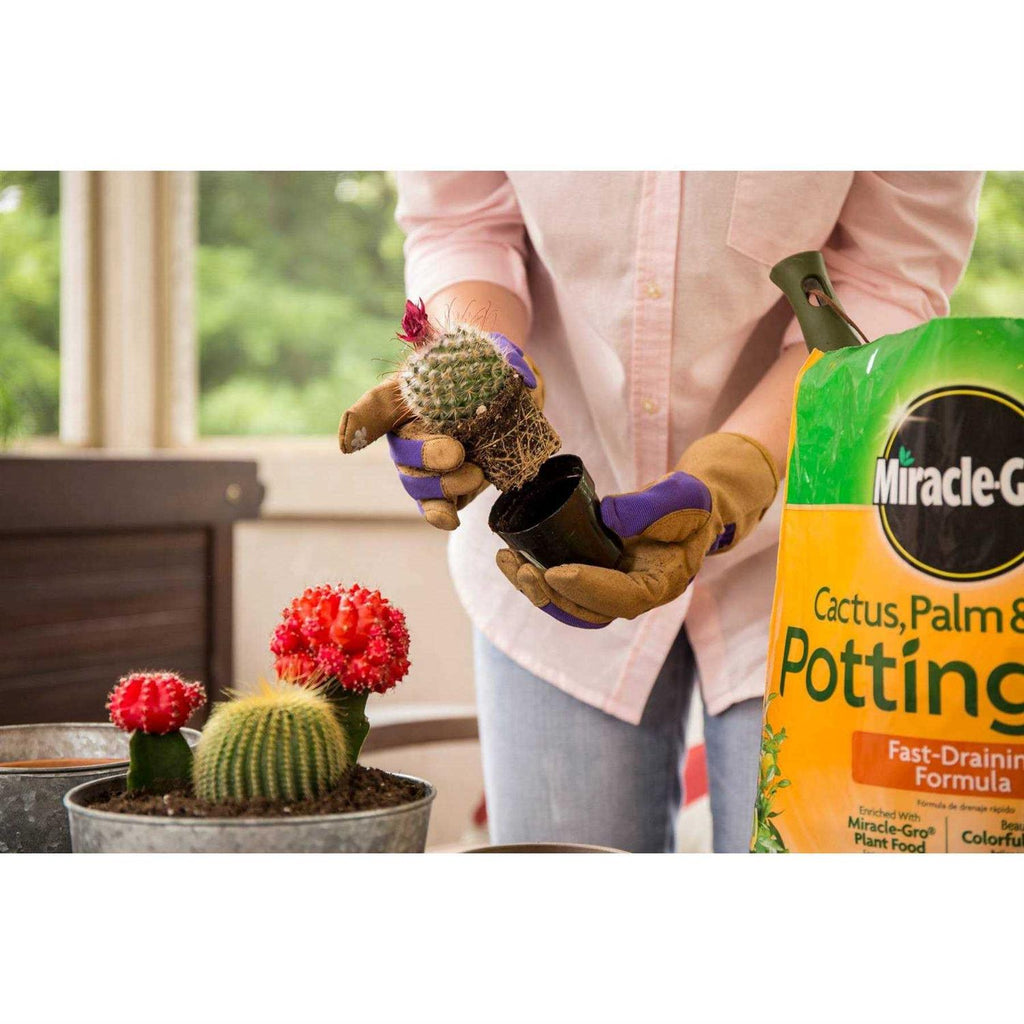 Miracle-Gro Cactus Palm Citrus Potting Mix