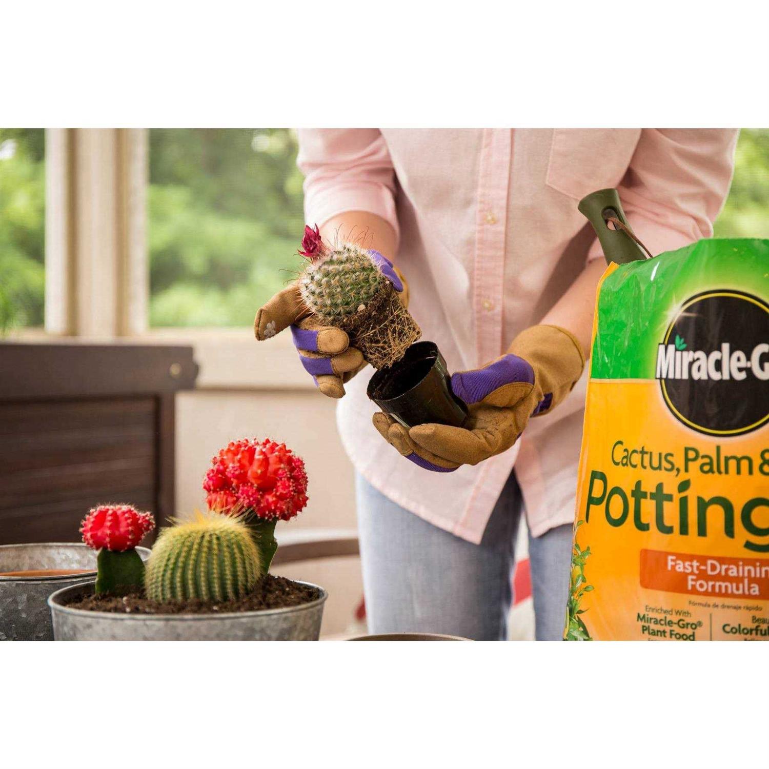Miracle-Gro Cactus Palm Citrus Potting Mix