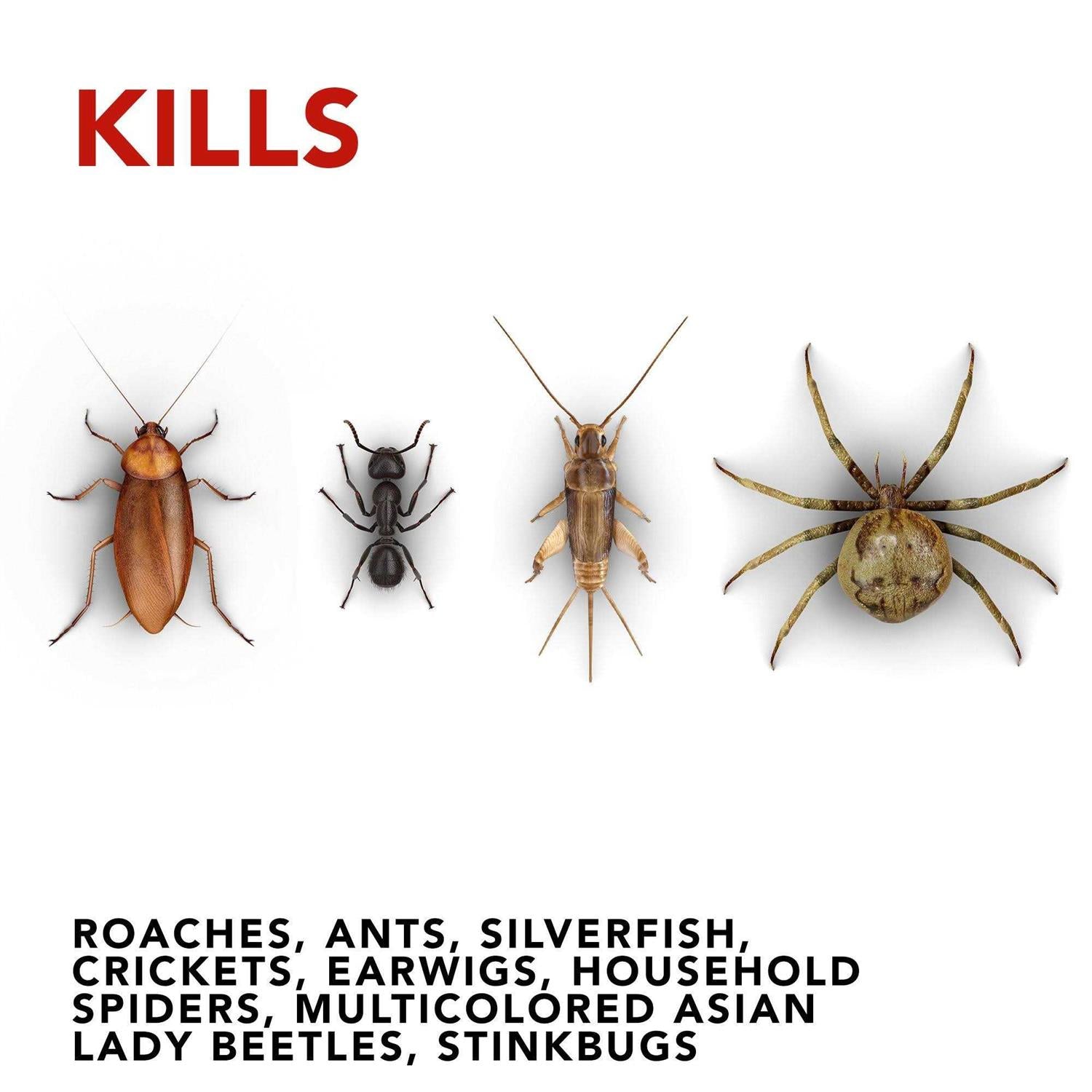 Raid Max Ant & Roach Killer