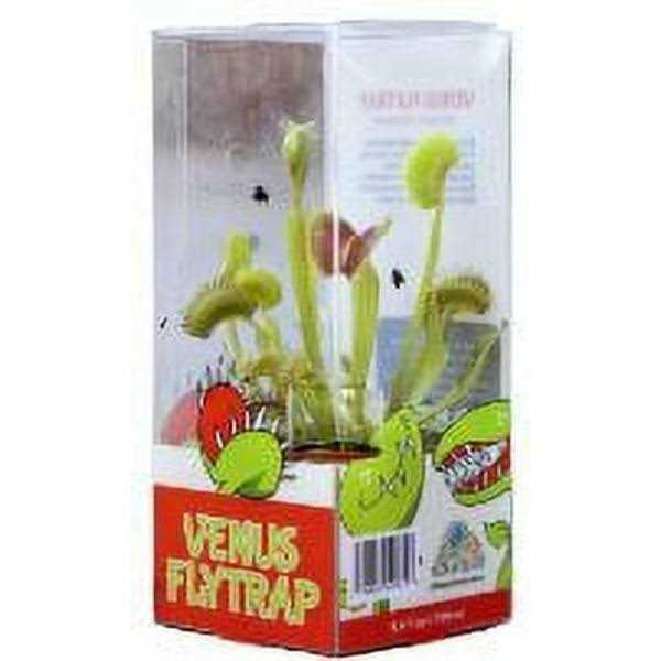 Element 3in Venus Fly Trap Live Plant