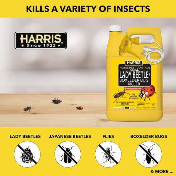 Harris Asian Lady Beetle & Box Elder Bug Killer