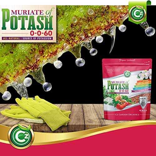Muriate of Potash 0-0-60 Fertilizer Made in USA