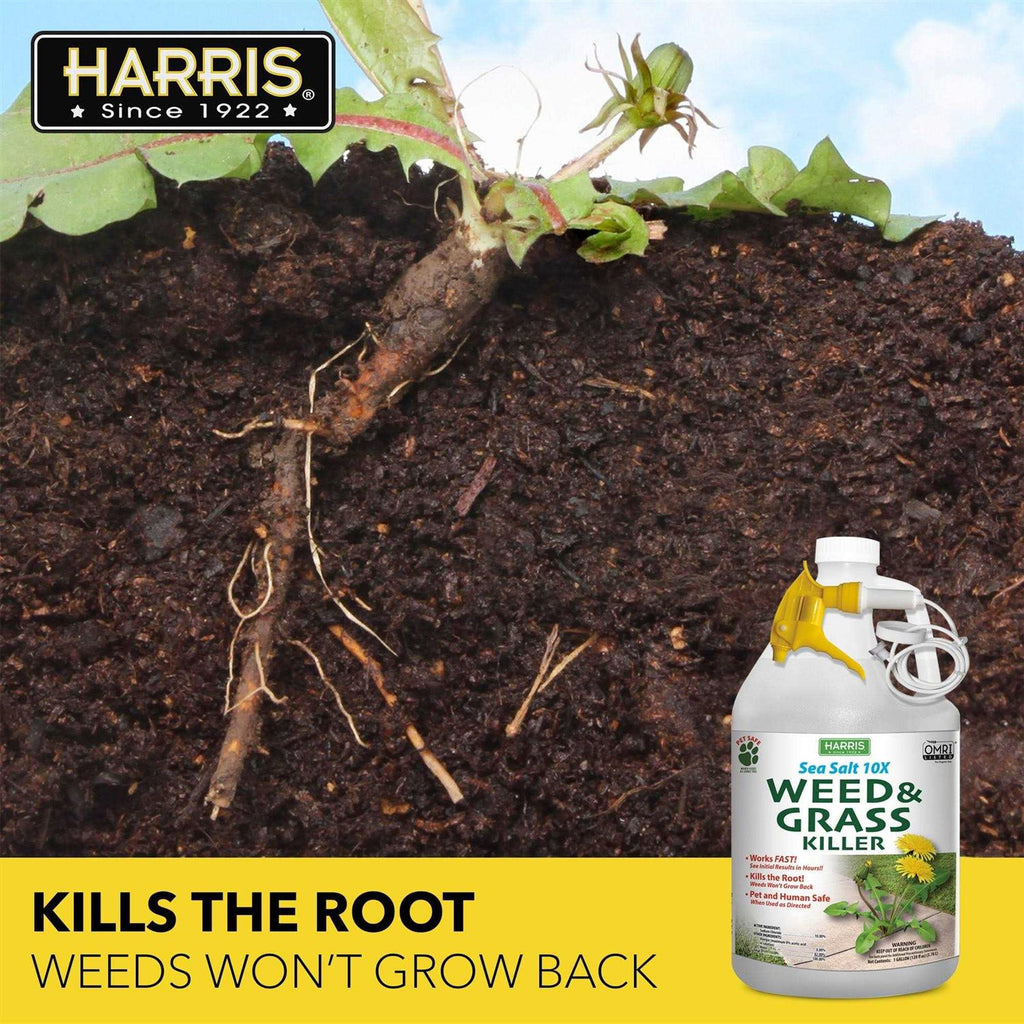 Harris Sea Salt 10X Organic Weed & Grass Killer