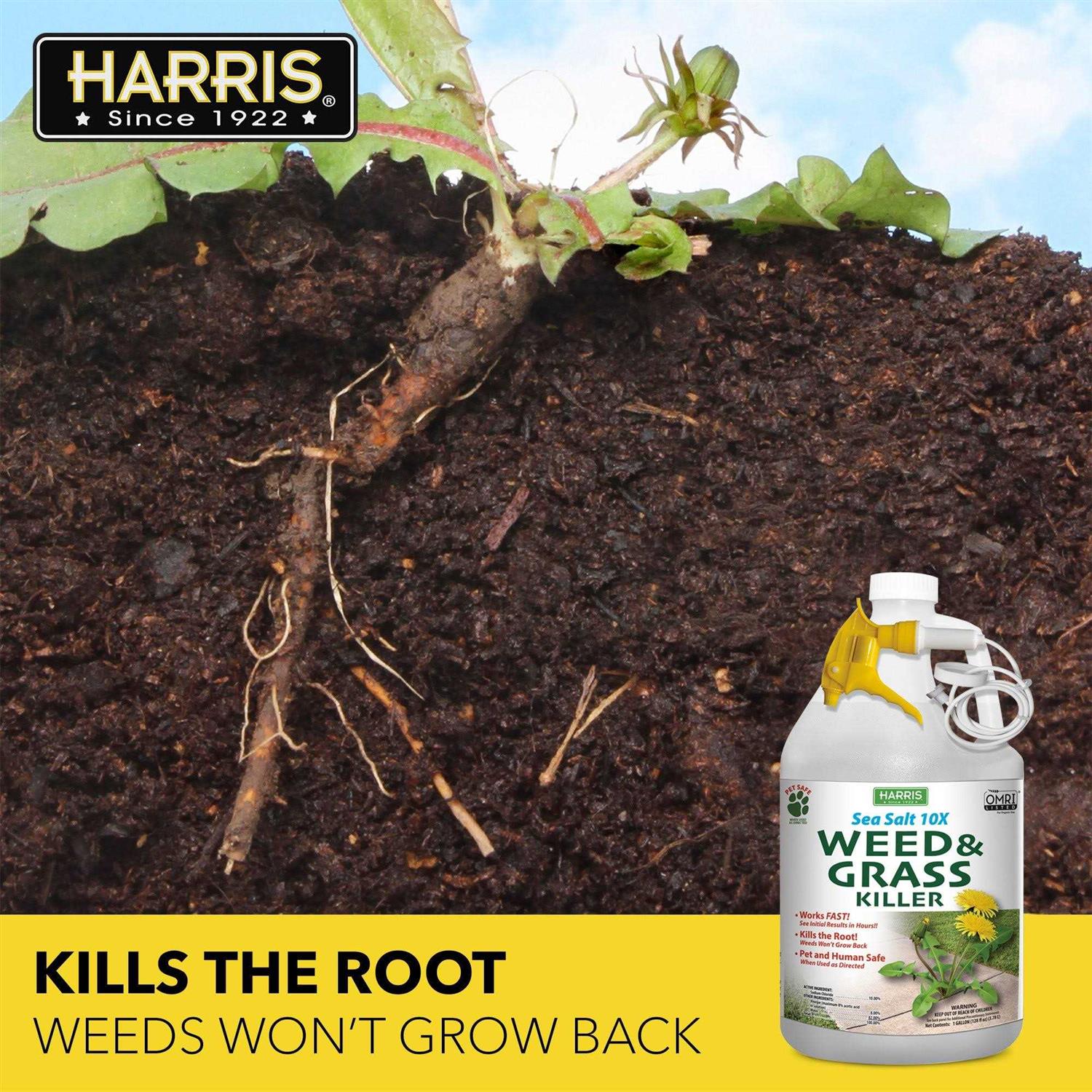 Harris Sea Salt 10X Organic Weed & Grass Killer