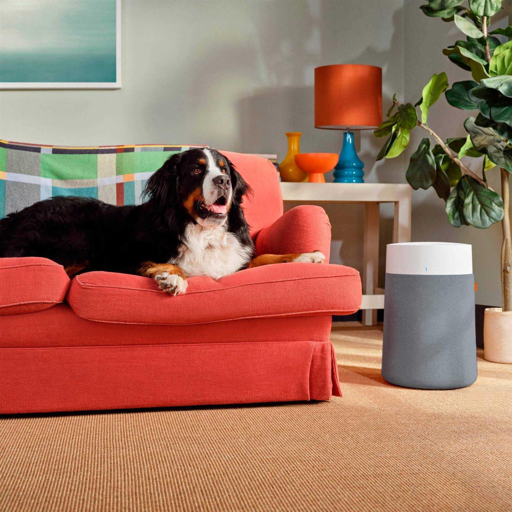 Blueair Blue Pure 311i Max Smart HEPASilent 387 sq ft