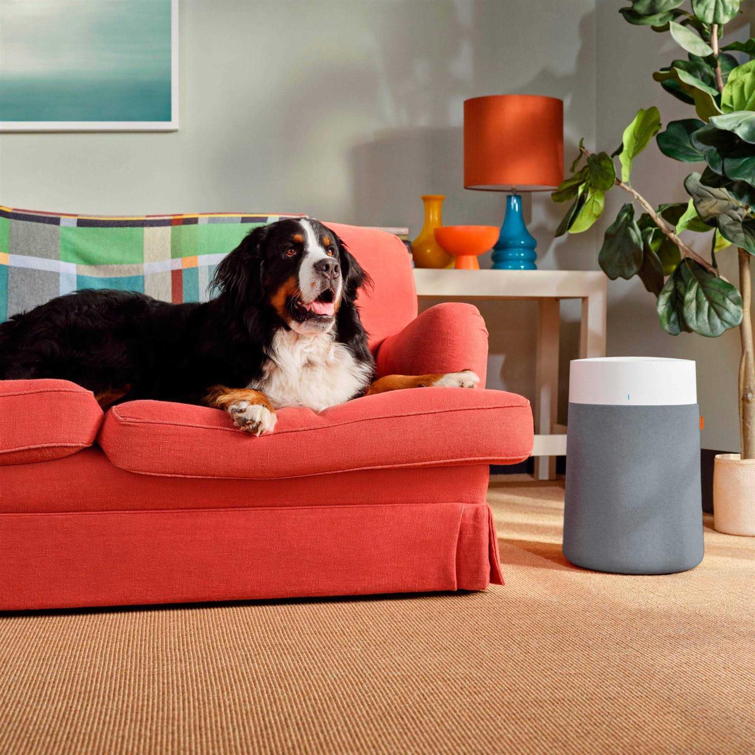 Blueair Blue Pure 311i Max Smart HEPASilent 387 sq ft
