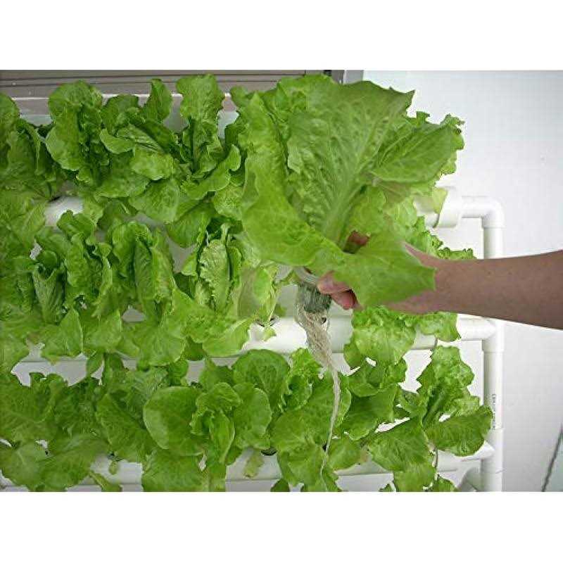 HYDDNice Hydroponic Grow Kit 4 Layers 36 Plant Sites Garden Planting System Hydroponic Growing System Water Culture Garden Plant System Garden