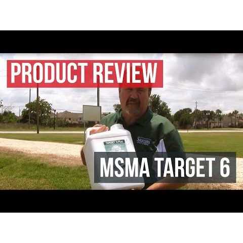 MSMA Target 6 Plus Herbicide 2.5 Gallon