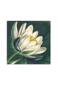 Water Lily Botanical Linen Napkin (20 x 20 in)